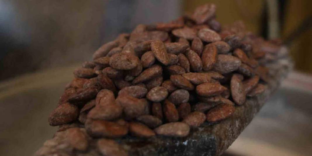 Kilolarca değil tonlarca satıldı: ‘Beyaz altın’ rekor talep gördü 3